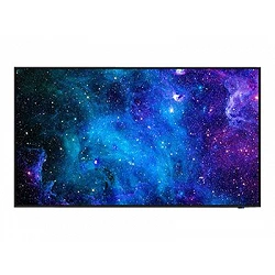 NEC MultiSync E498 - 49\\\" Clase diagonal (48.5\\\" visible)