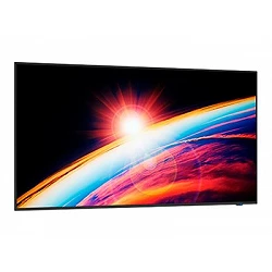 NEC MultiSync E658 - 65\\\" Clase diagonal (64.5\\\" visible)