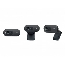 Logitech C505e - Webcam - color - 720p - focal fijado