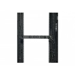 APC Basic Rack PDU - Unidad de distribución de potencia (montaje en bastidor)