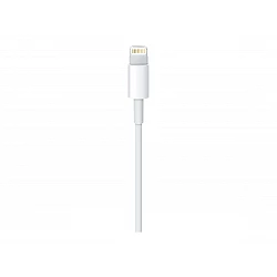 Apple - Cable Lightning - Lightning macho a USB macho