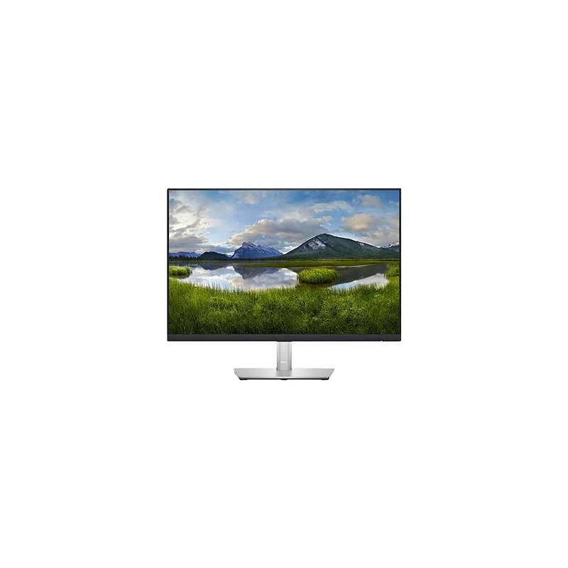 Dell P2423 - Monitor LED - 24\\\" - 1920 x 1200 WUXGA @ 60 Hz