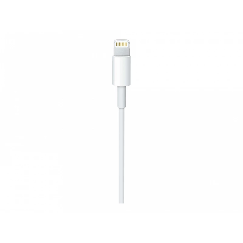 Apple USB-C to Lightning Cable - Cable Lightning