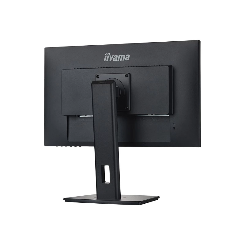 iiyama ProLite XUB2492HSN-B5 - Monitor LED