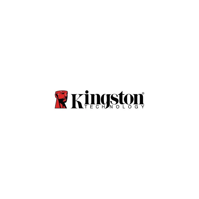 Kingston DC600M - SSD - Mixed Use - cifrado