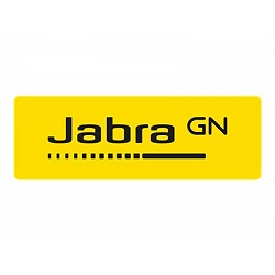 Jabra Evolve2 40 SE MS Stereo - Auricular