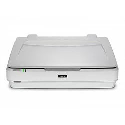 Epson Expression 13000XL - Escáner de sobremesa